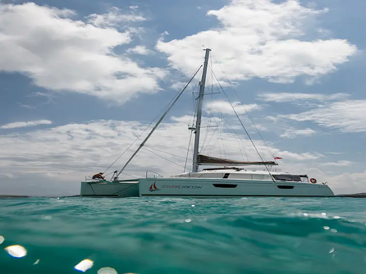 Saba 50 6+1 - 