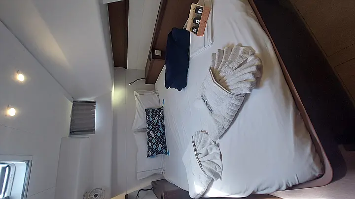 Lagoon 450  Flybridge - 
