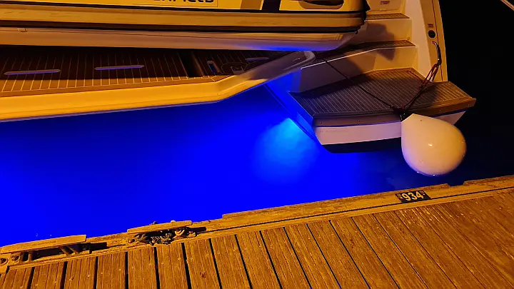 Leopard 50 - 