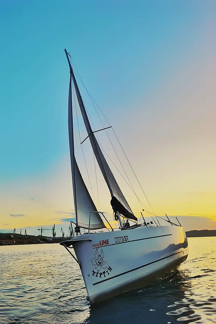 Viko S 21 - 
