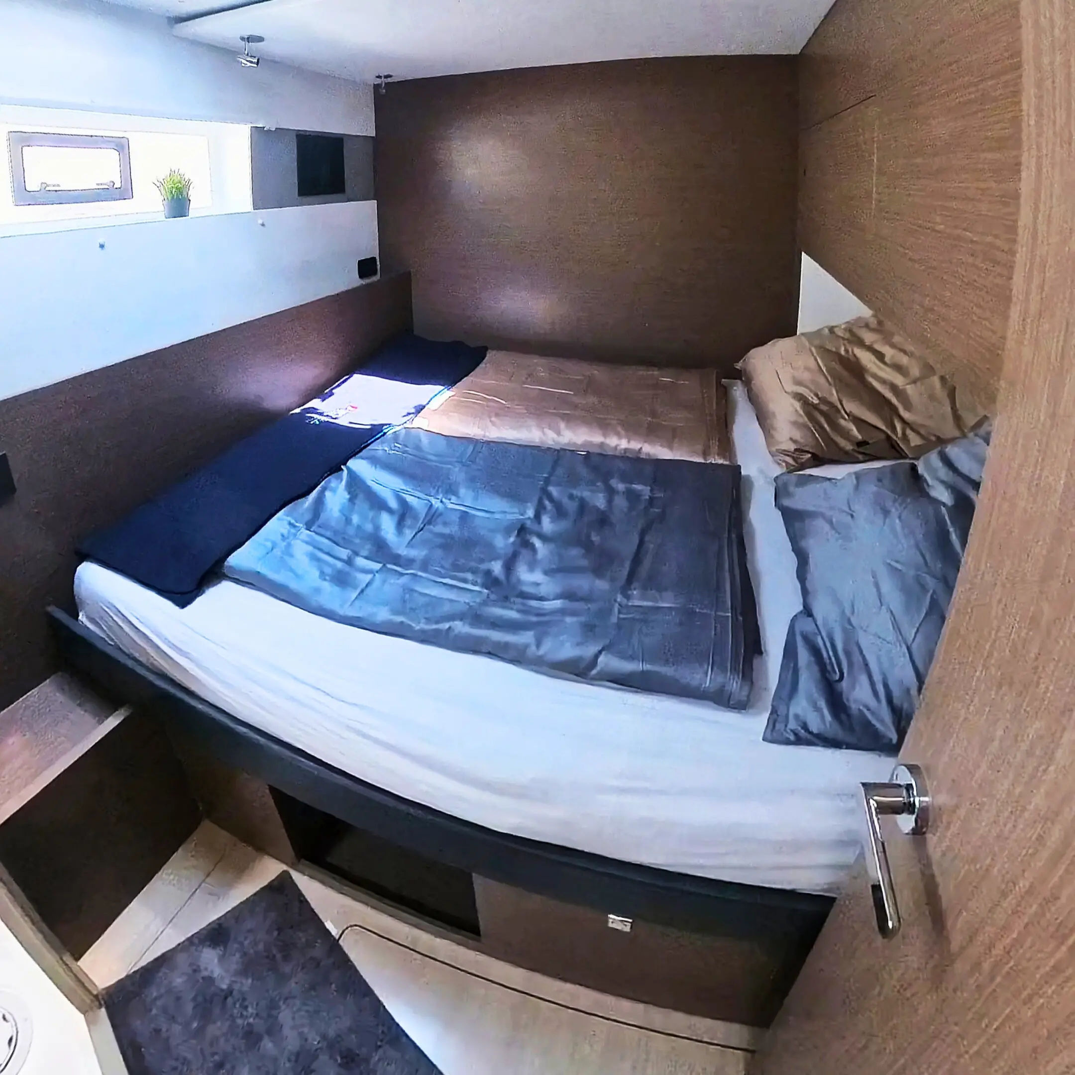 Leopard 50 - 