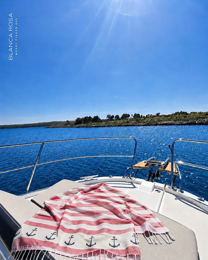 Merry Fisher 895 - 