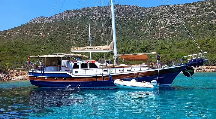 Armonica