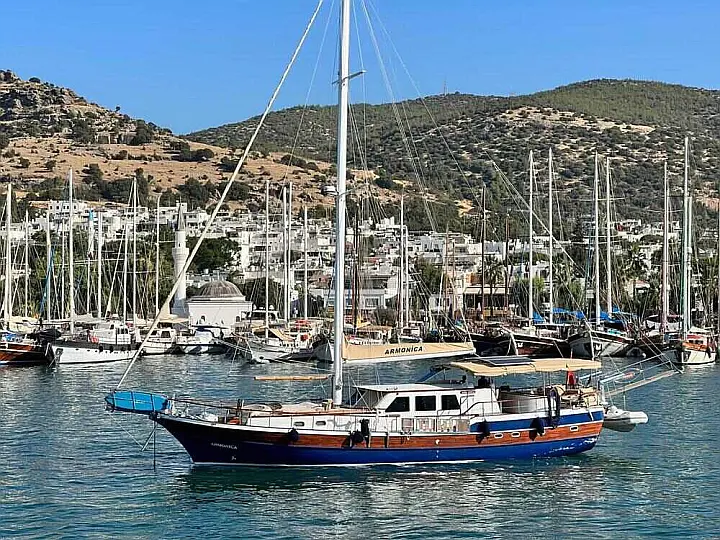 Armonica