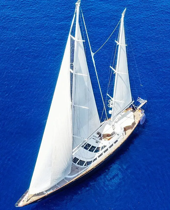 Tamarita