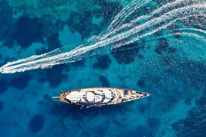 Tamarita