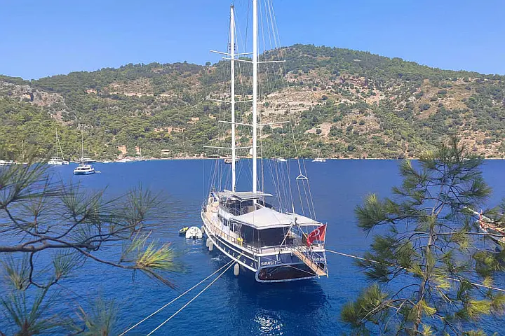Saraylı 1